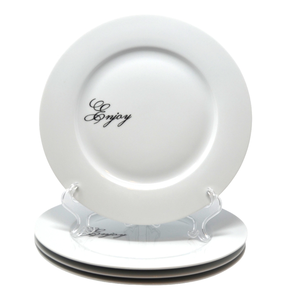 NWT 4 pc 10.5 in Elegant White Porcelain Dinner Plates